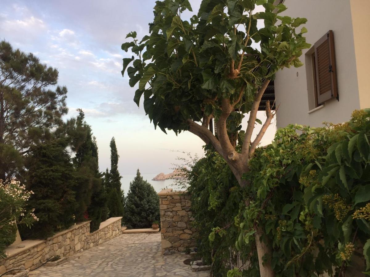 Natica Mare Villas Xerokampos  Exterior photo